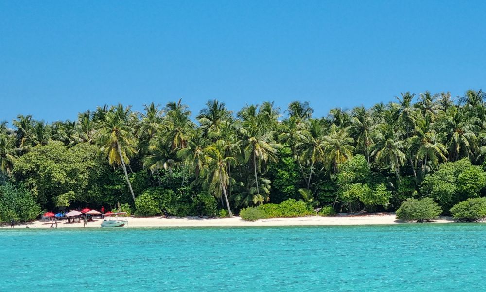 Island Luxury Hotel Fehendhoo 