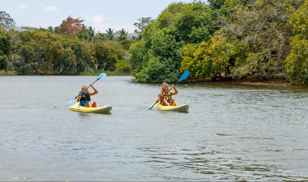 The Ravenala Attitude 4*