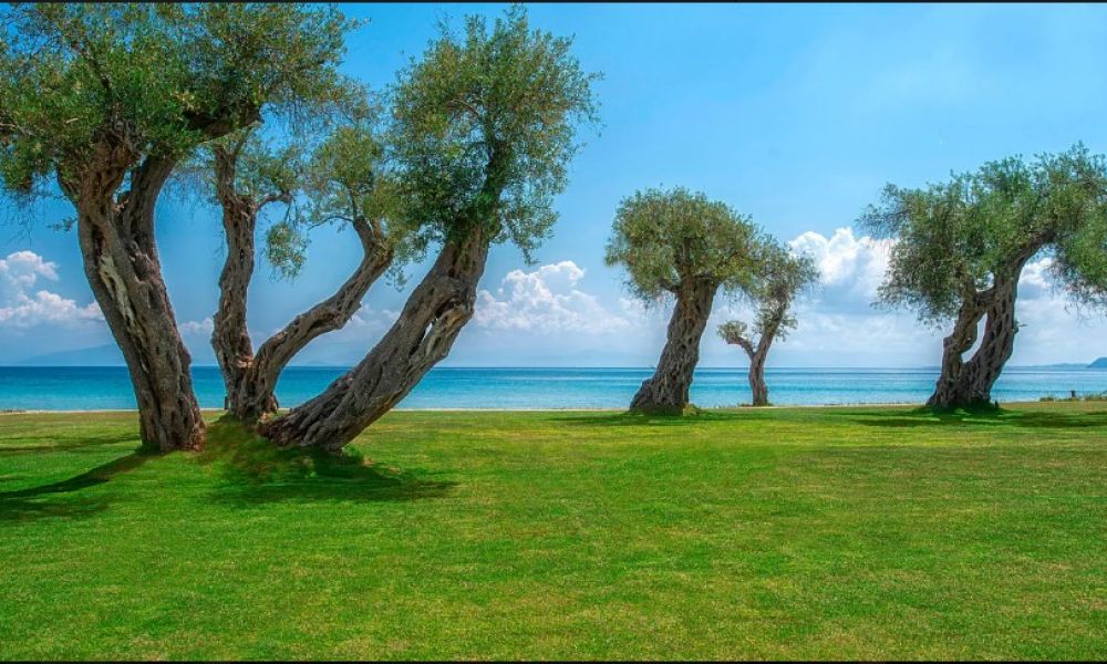 Domes Miramare, a Luxury Collection Resort, Corfu 5*