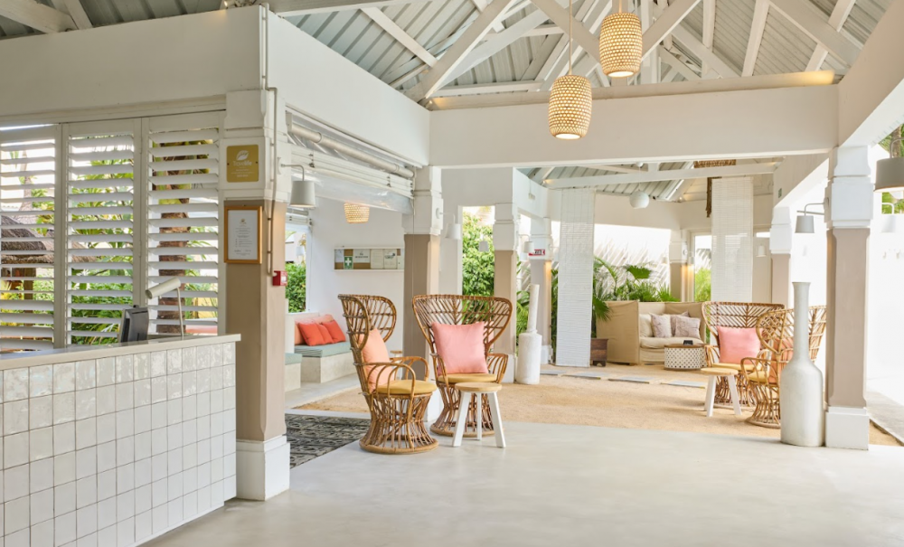 Tropical Attitude | Adults Only 18+ 3*