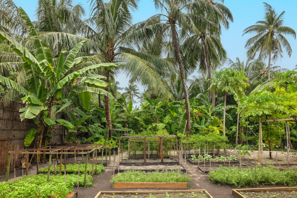 The Halcyon Private Isles Maldives, Autograph Collection (ex. Raffles Maldives Meradhoo) 5*