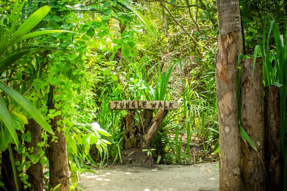 Dhigali Maldives 5*