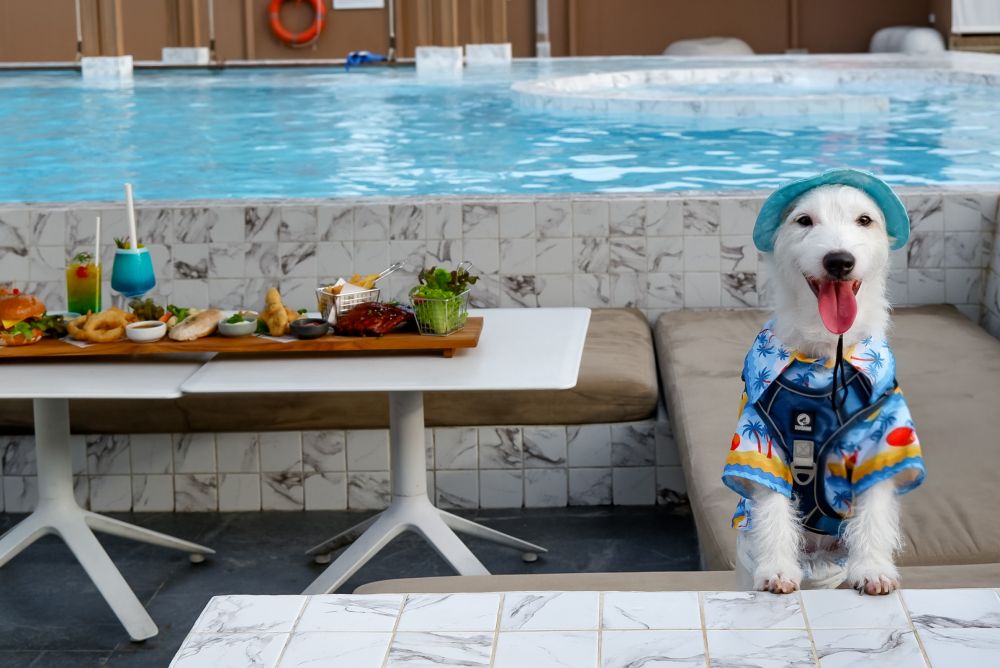 Best Western Plus Carapace Hotel Hua Hin 4*