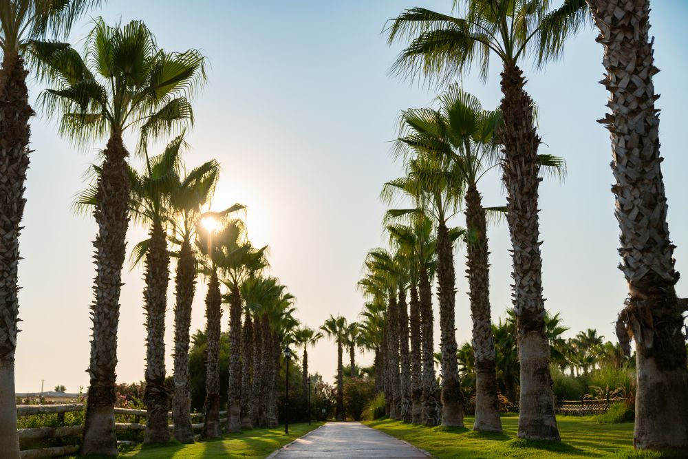 Turan Prince World Club Hotel HV1 5*