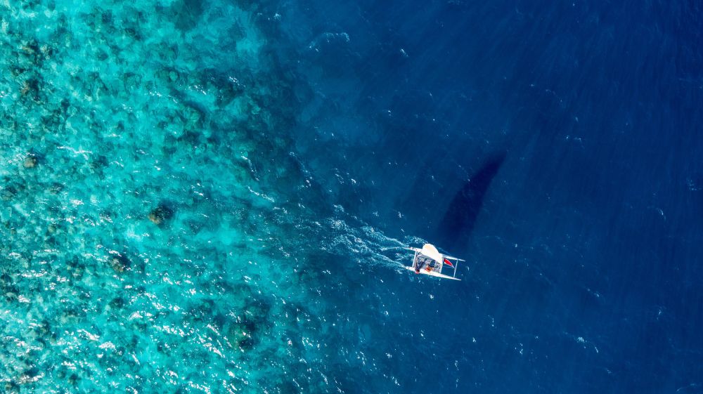 Fihalhohi Maldives 4*