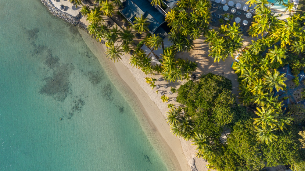 The Ravenala Attitude 4*