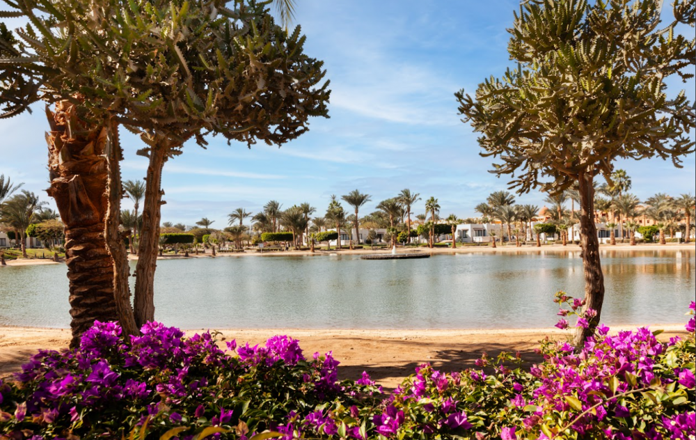 Pharaoh Azur Resort (ex.Sonesta Pharaoh) 5*