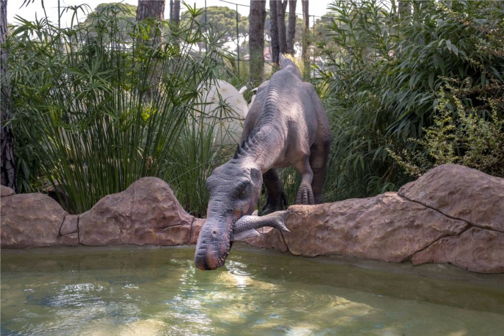 Maxx Royal Belek Golf Resort 5*