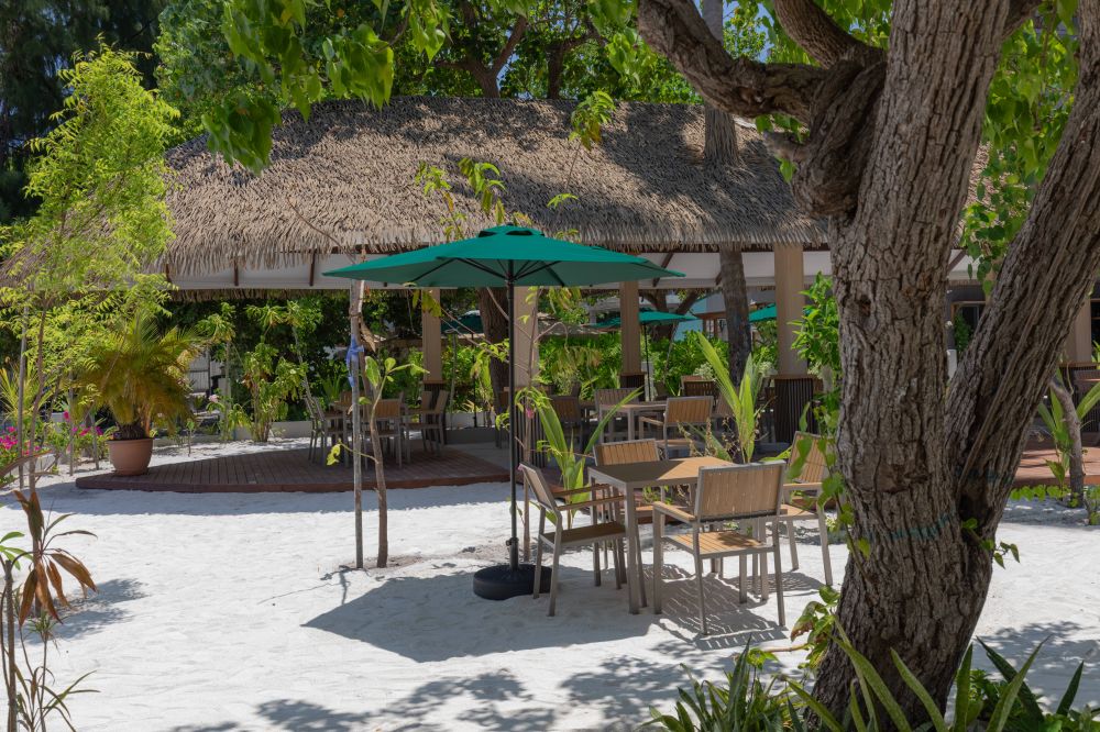 Arrival Beach & SPA 