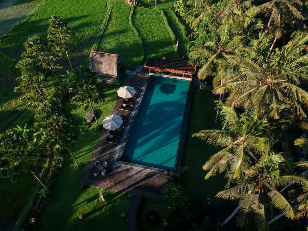 The Artini Dijiwa Ubud 4*