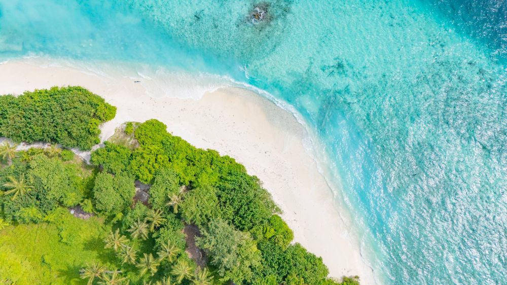 WINGS By Hawks Hotels 3*