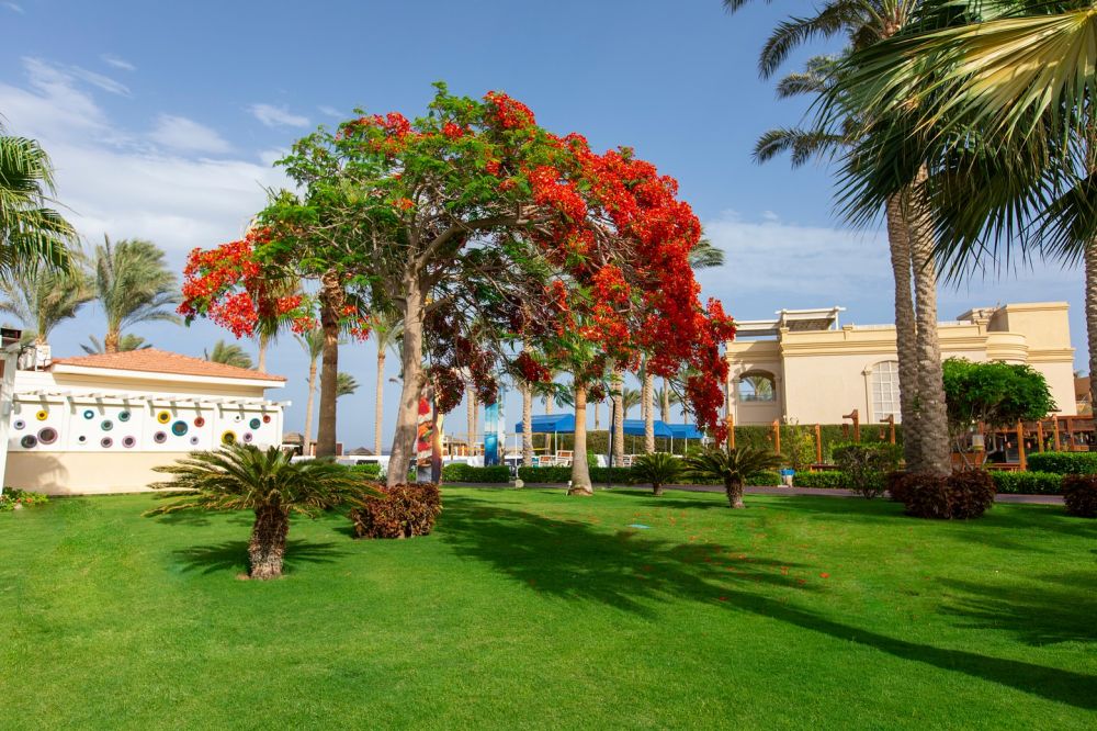 Rixos Sharm El Sheikh | Adults Friendly 18+ 5*