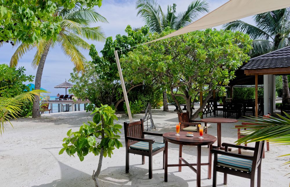 Canareef Resort 4*