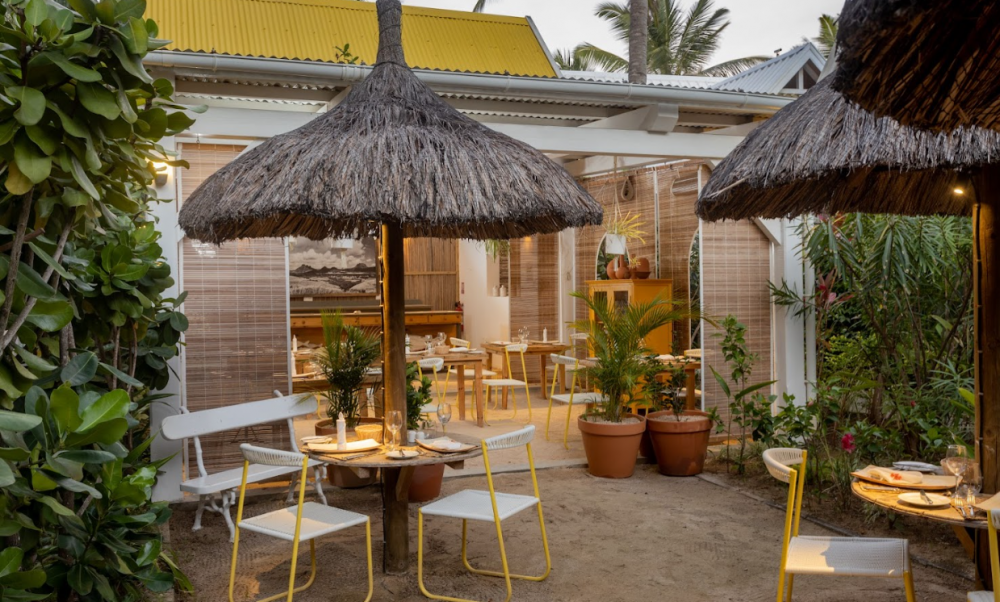 Tropical Attitude | Adults Only 18+ 3*