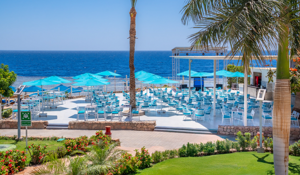 Albatros Royal Grand Sharm (ex. Royal Grand Sharm) | Adults Only 16+ 5*
