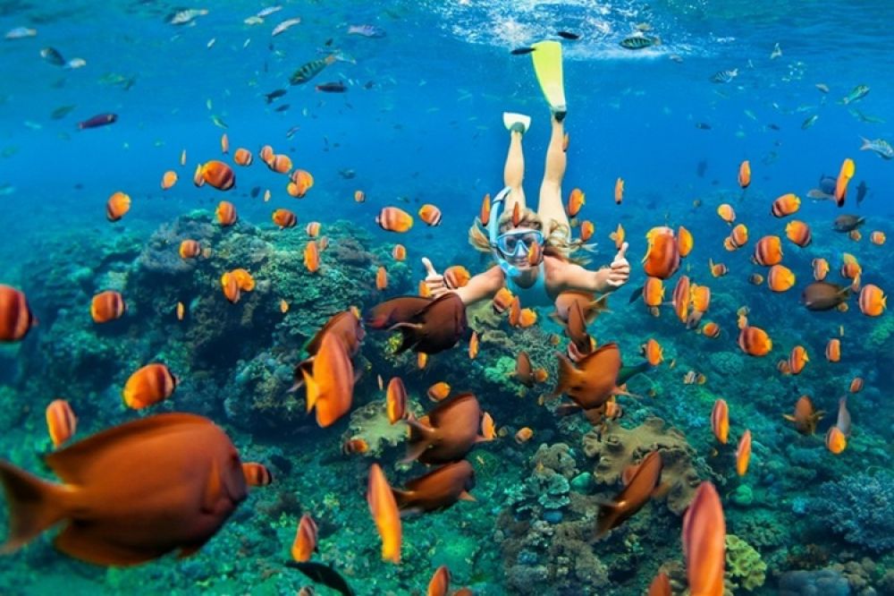 Triton Exotica 3*