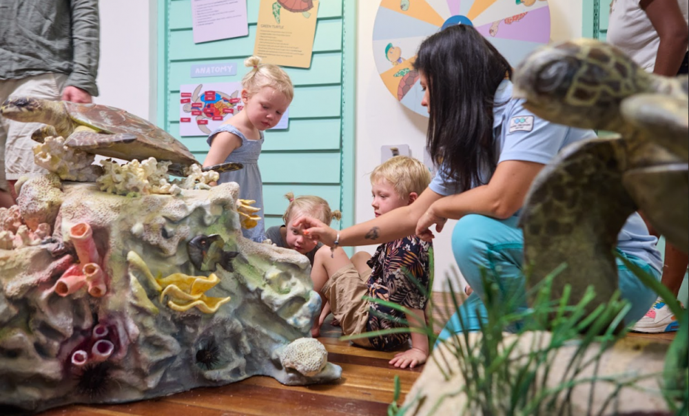 The Ravenala Attitude 4*