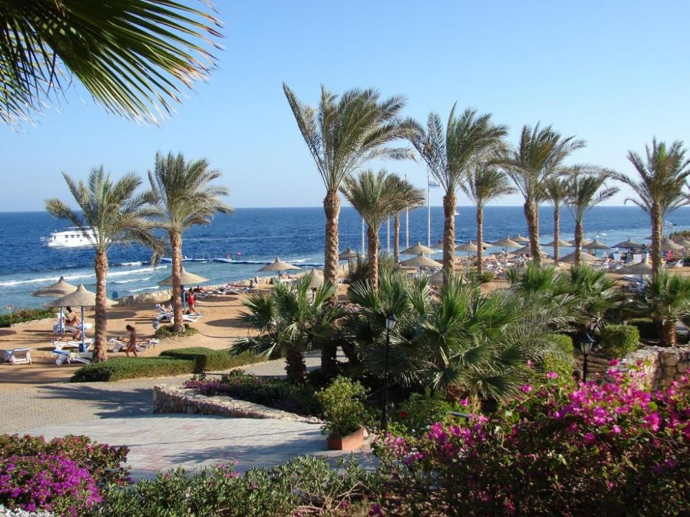Queen Sharm Resort 4*