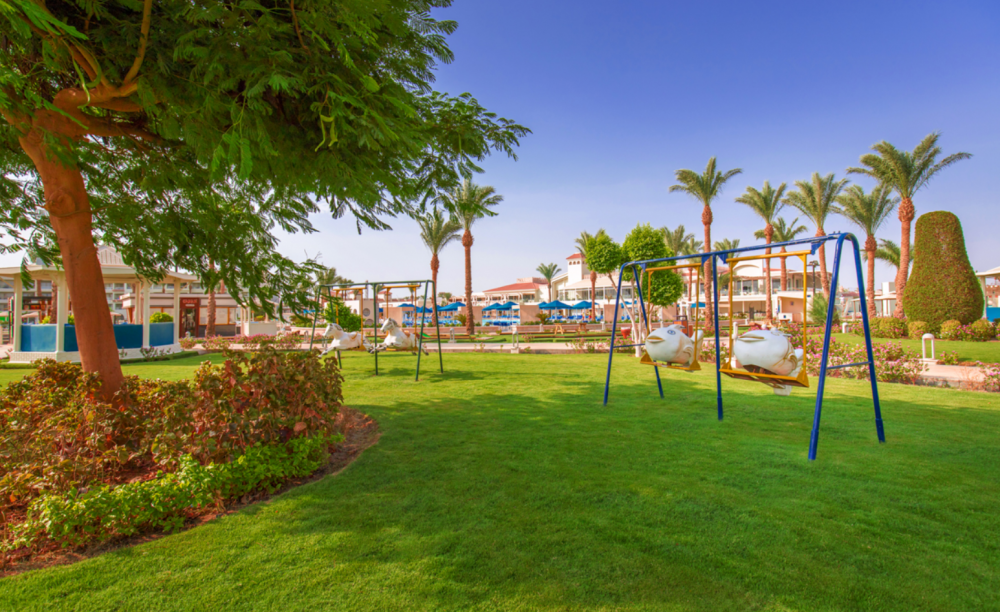 Dana Beach Resort Albatros 5*
