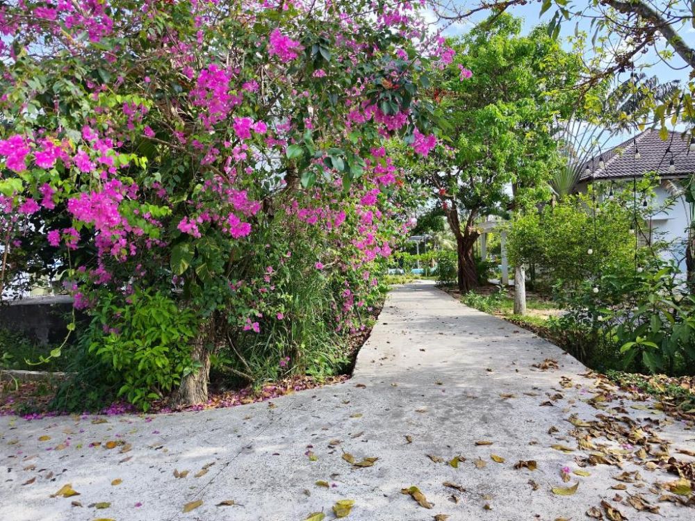 YNG Luxor Phu Quoc Resort 4*