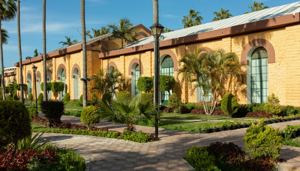 Rixos Montaza Alexandria Resort 5*