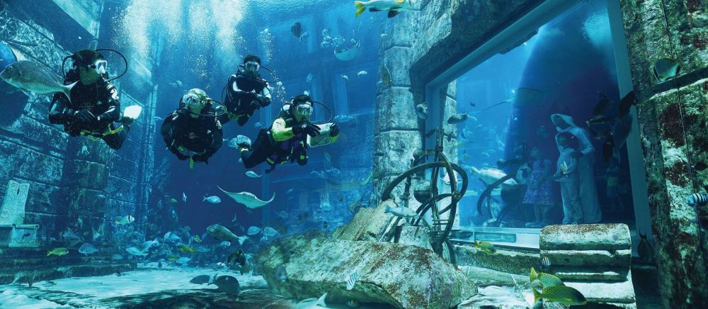 Atlantis The Palm, Dubaі 5*