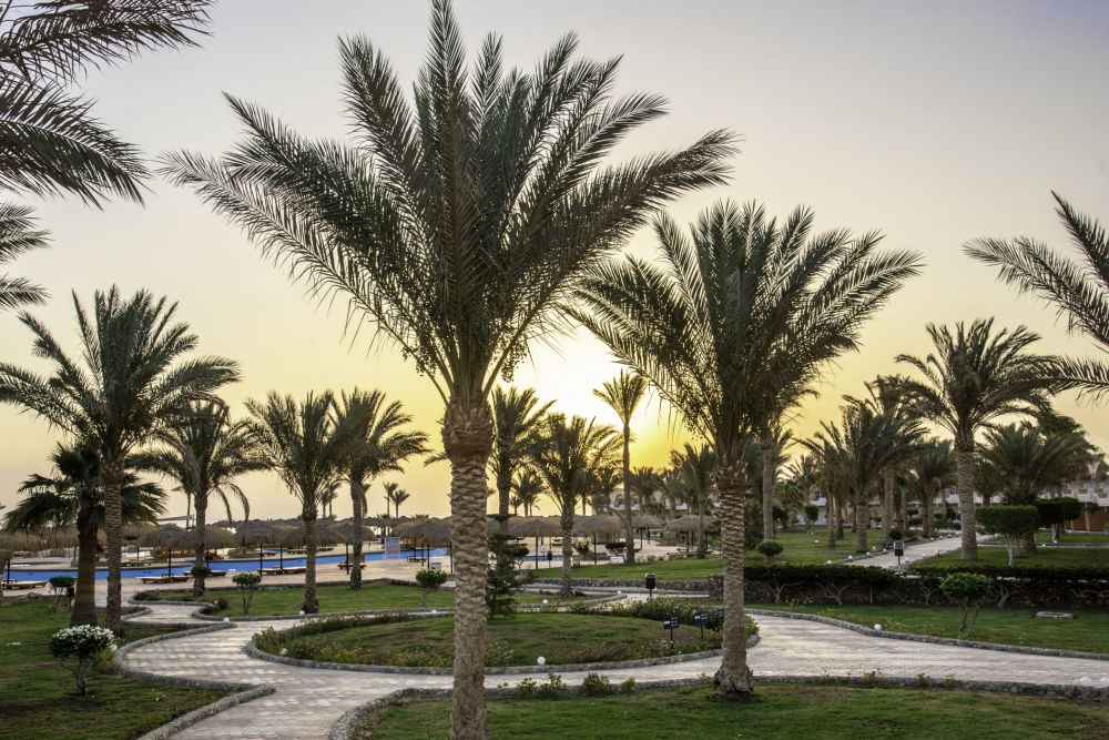 Three Corners Sea Beach Resort 4*