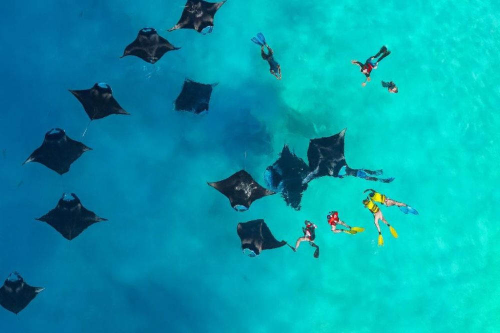 NEST By Hawks Hotels 2*