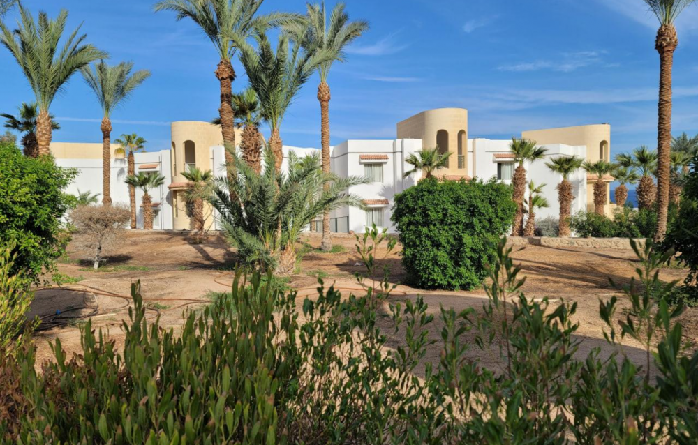 Queen Sharm Resort 4*
