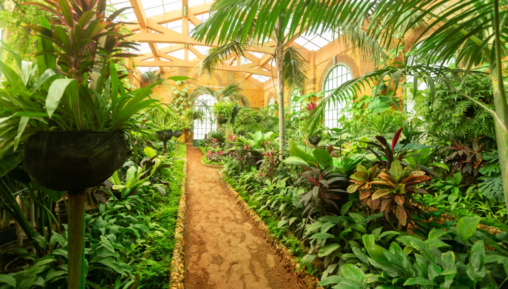 Rixos Montaza Alexandria Resort 5*