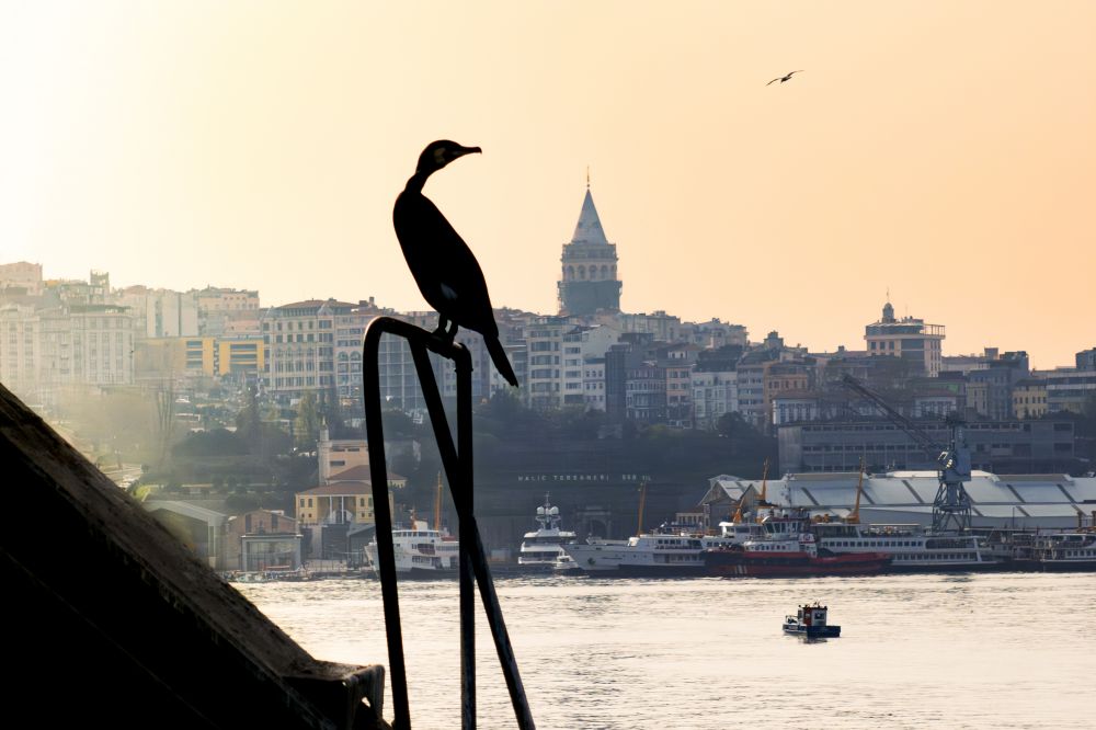 Rixos Tersane Istanbul - Nickelodeon Play Tersane Access 5*