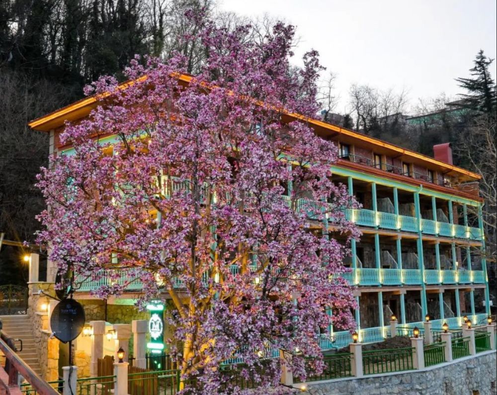 Magnolia Kutaisi 