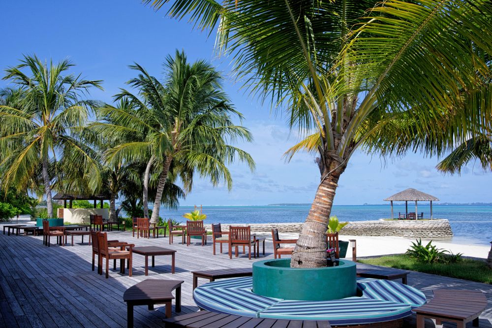 Canareef Resort 4*