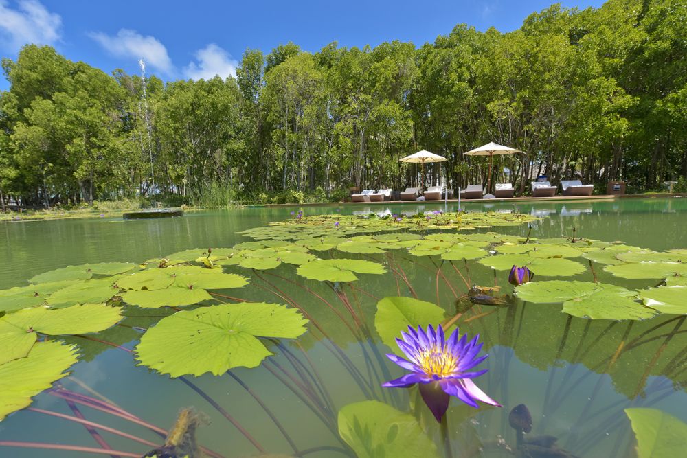 Dreamland The Unique Sea & Lake Resort Spa 4*