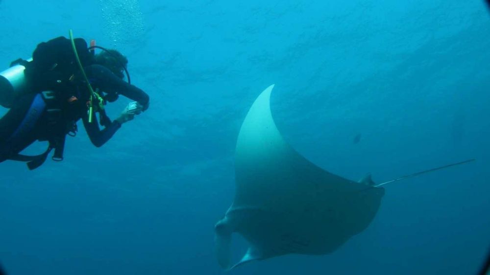 Fihalhohi Maldives 4*