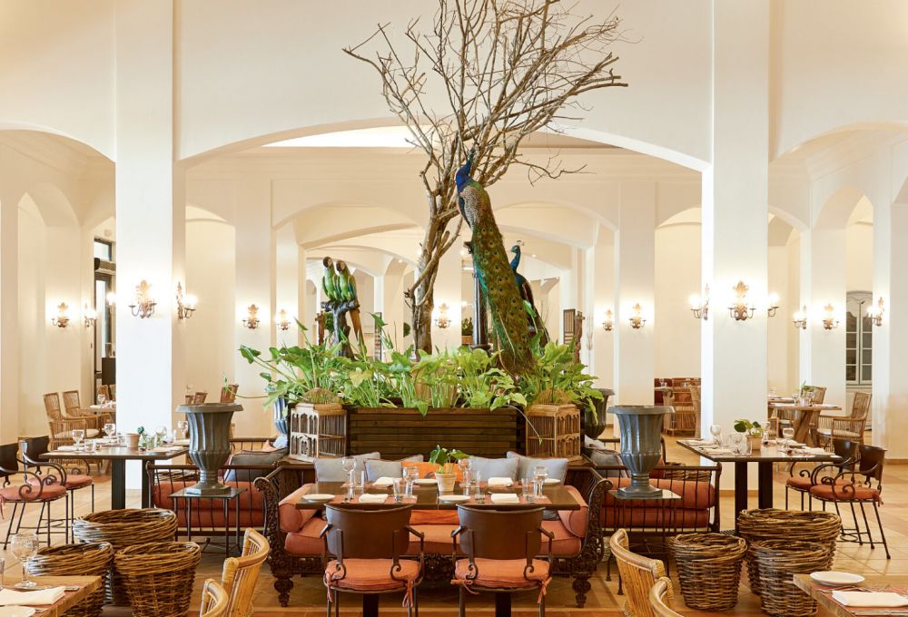 Grecotel Olympia Oasis & Aqua Park 5*