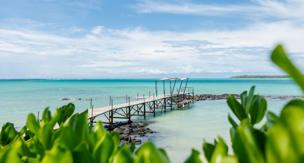 Tropical Attitude | Adults Only 18+ 3*