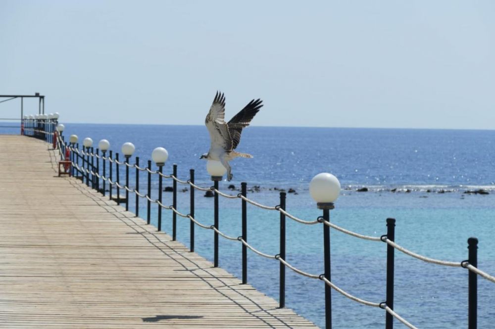 Wadi Lahmy Azur Resort 3*