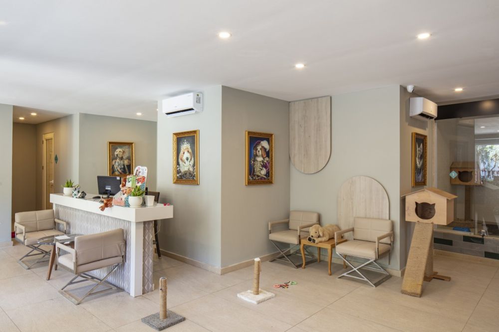 Nirvana Mediterranean Excellence 5*