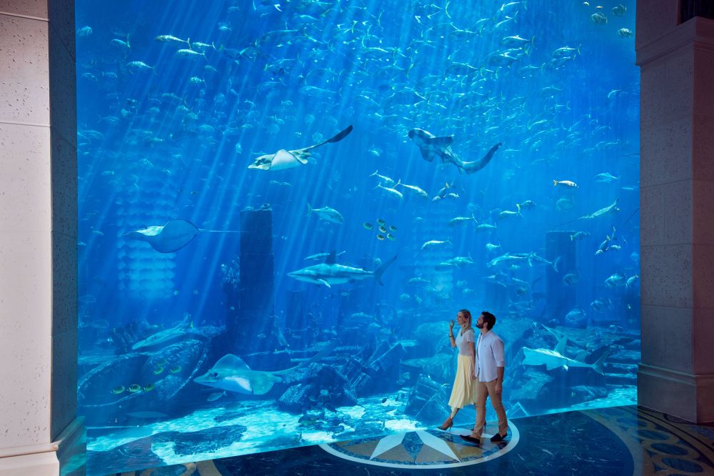 Atlantis The Palm, Dubaі 5*