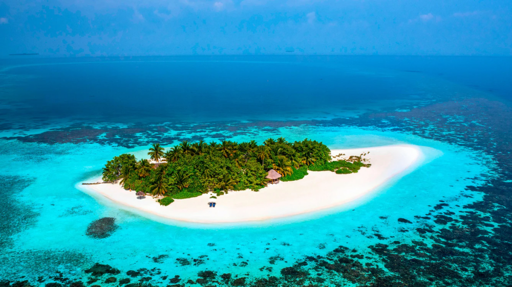 W Maldives 5*