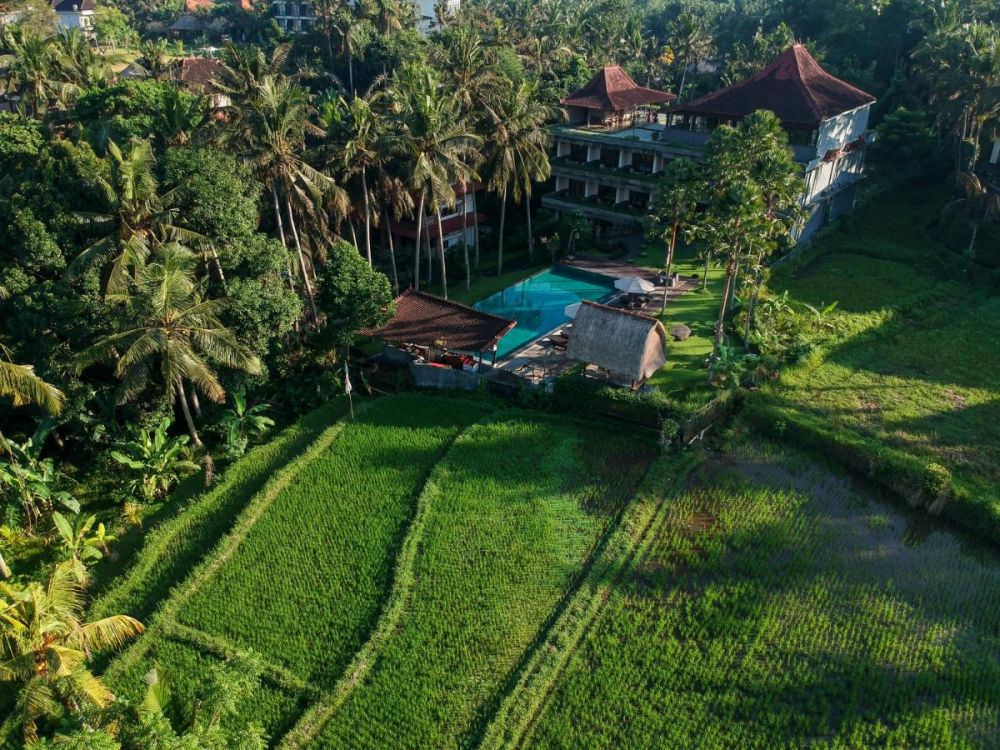 The Artini Dijiwa Ubud 4*