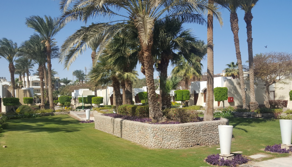 Bungalow, Zya Regina Resort & Aqua Park 3*