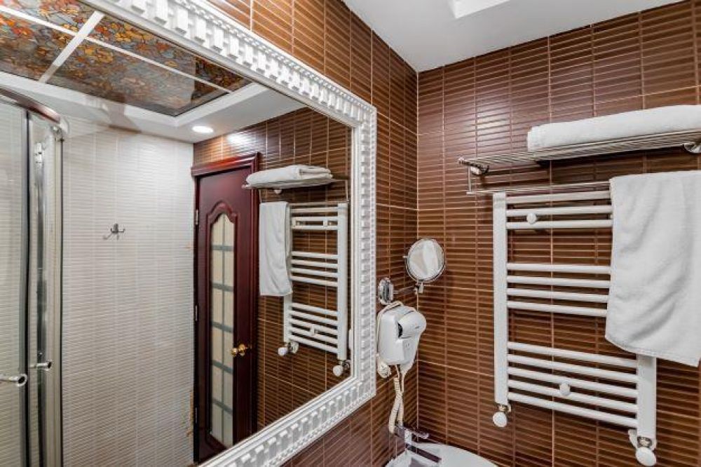 Standard Upgrade, Borjomi Palace 4*