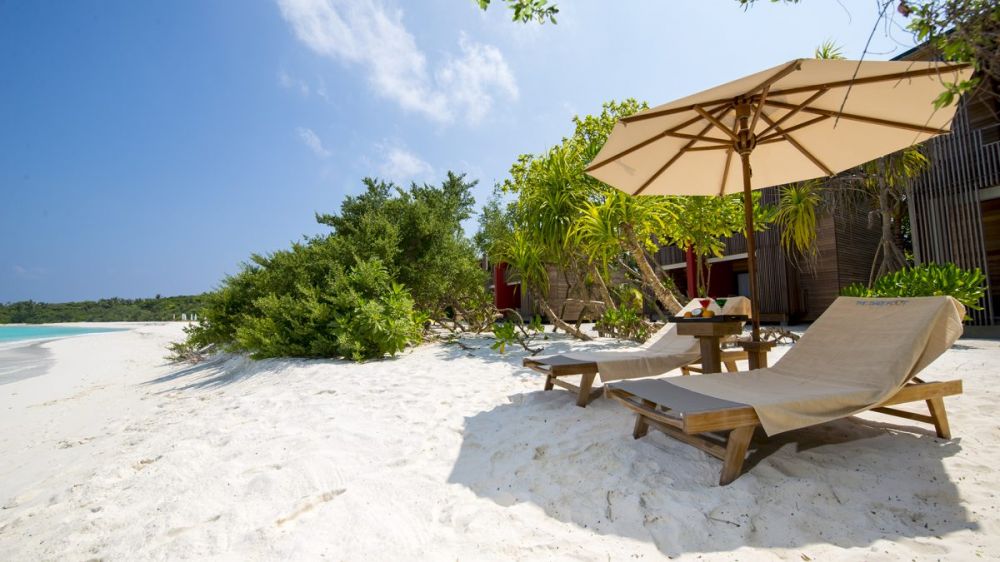 Family Room, The Barefoot Eco Hotel 