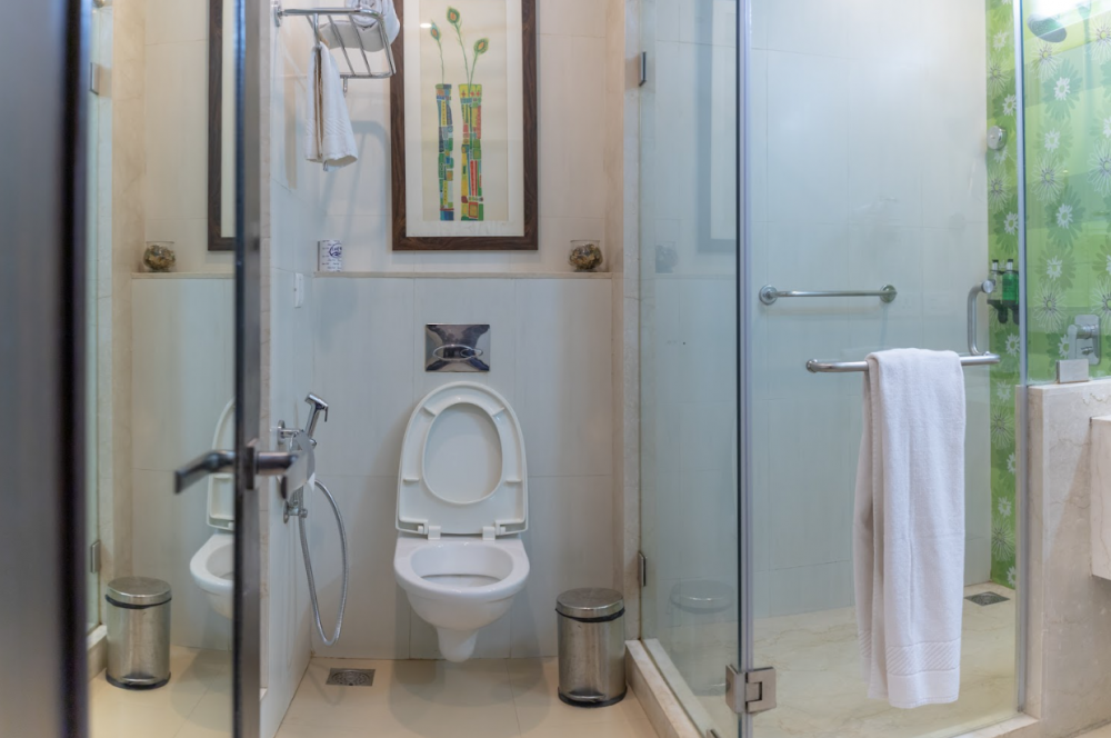Deluxe, Kyriad Prestige Hotel Goa (ex. Citrus Hotel) 4*