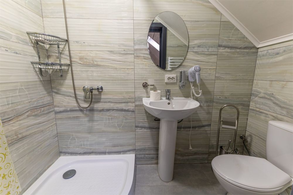 Однокомнатный Люкс Deluxe мансарда 4х местный, Villa Vlad 3*