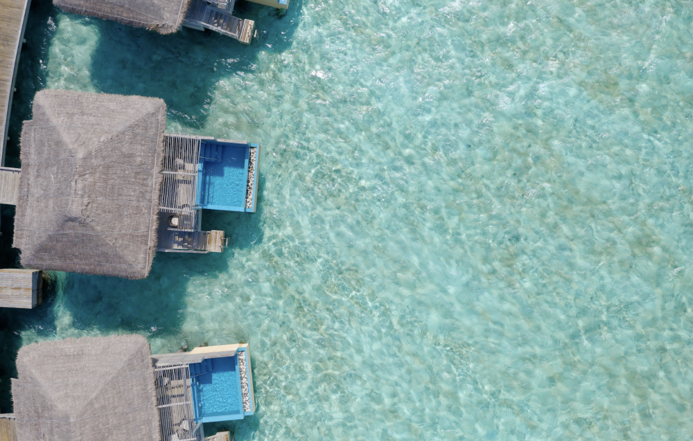 Dolphin Villa Pool, You & Me by Cocoon Maldives | Adults Only 16+ 5*