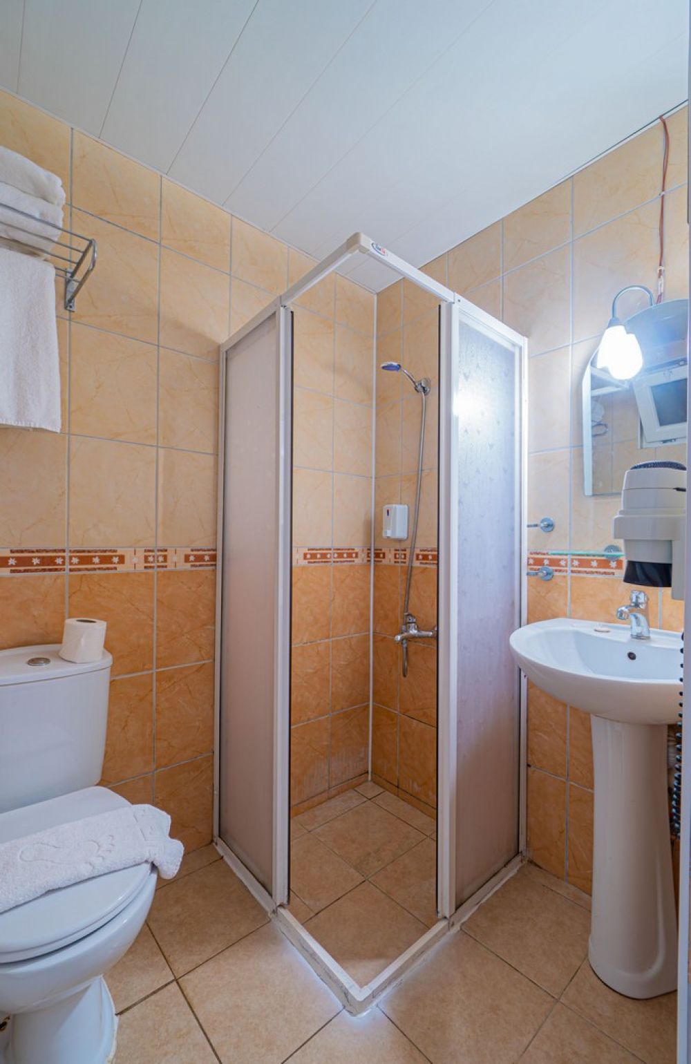 Standard Park Room Eco, Sayanora Hotel 3*