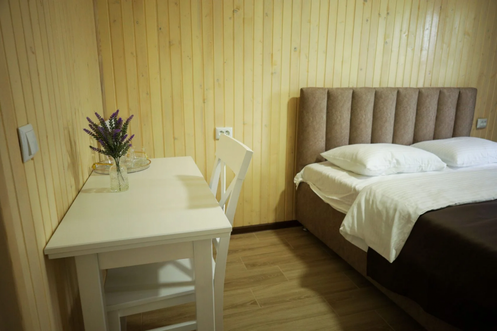3-местный без балкона, Vasok Солотвино 3*